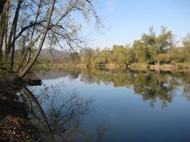 Berounka 2-ostrov v Zadní Třebáni 21.10.08 (2).JPG